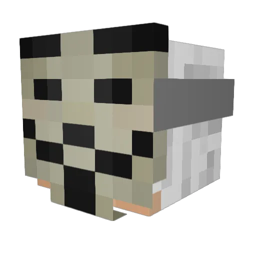 youtubefan1 Minecraft avatar head, 3D render