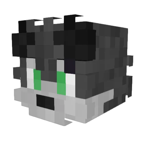 youtuber2341 Minecraft avatar head, 3D render
