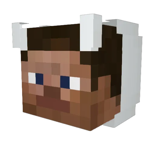 youwinsome Minecraft avatar head, 3D render