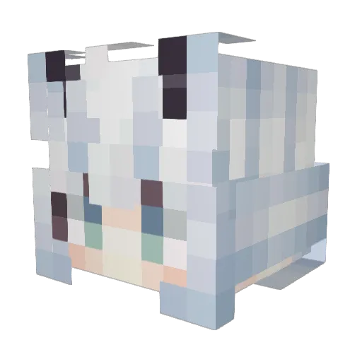 youyuan_ Minecraft avatar head, 3D render