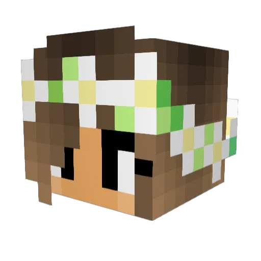yoyoayden Minecraft avatar head, 3D render