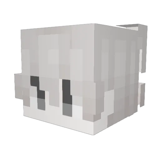 yoyoyott Minecraft avatar head, 3D render