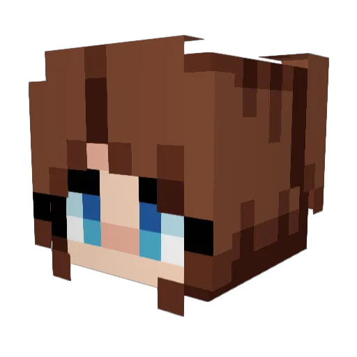 ypmm369 Minecraft avatar head, 3D render