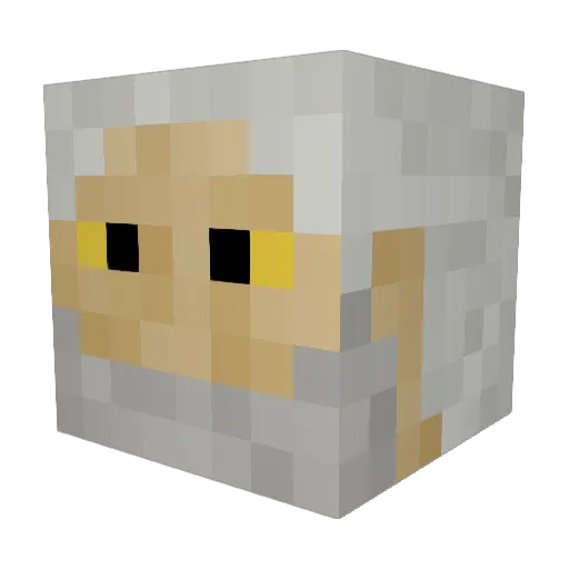 yrip99 Minecraft avatar head, 3D render