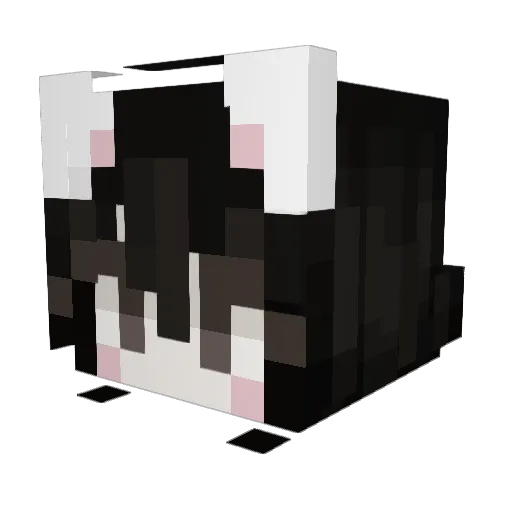 yrsobeautifullll Minecraft avatar head, 3D render