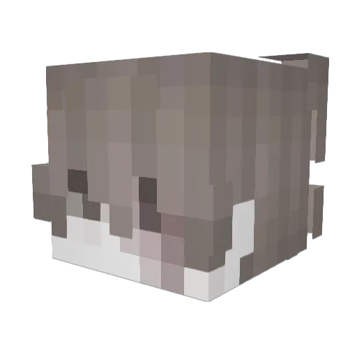 ys9f Minecraft avatar head, 3D render