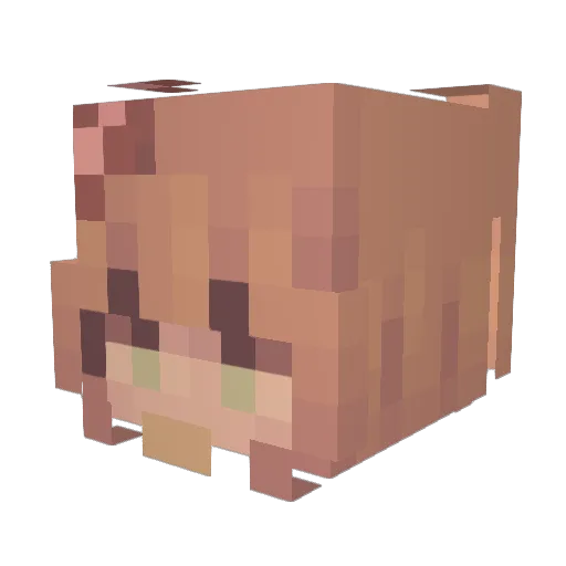 ysf41 Minecraft avatar head, 3D render