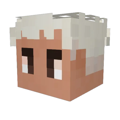 ytVipexlp Minecraft avatar head, 3D render