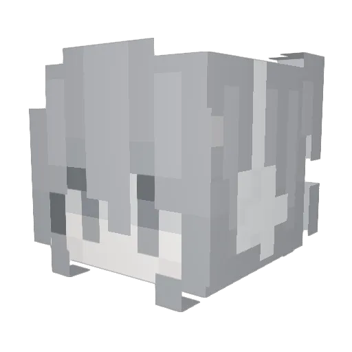 yuanyi114 Minecraft avatar head, 3D render