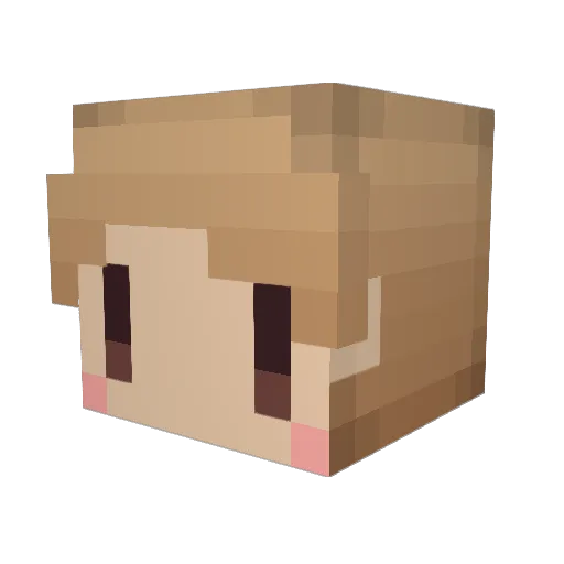 yuba0 Minecraft avatar head, 3D render