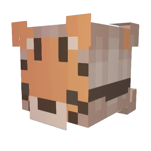 yuchieh91 Minecraft avatar head, 3D render