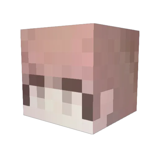 yudeng142 Minecraft avatar head, 3D render