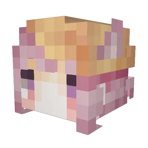 yueplmy Minecraft avatar head, 3D render