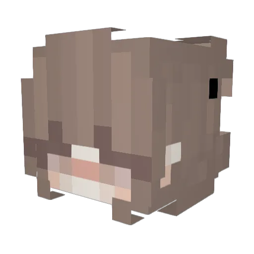 yufa_shu Minecraft avatar head, 3D render