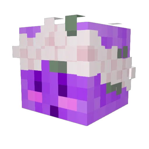 yugs777 Minecraft avatar head, 3D render
