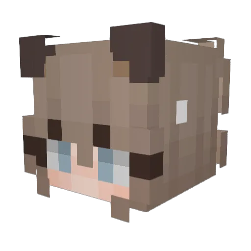 yuityjelly Minecraft avatar head, 3D render