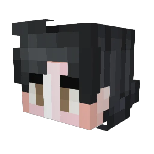 yujen Minecraft avatar head, 3D render