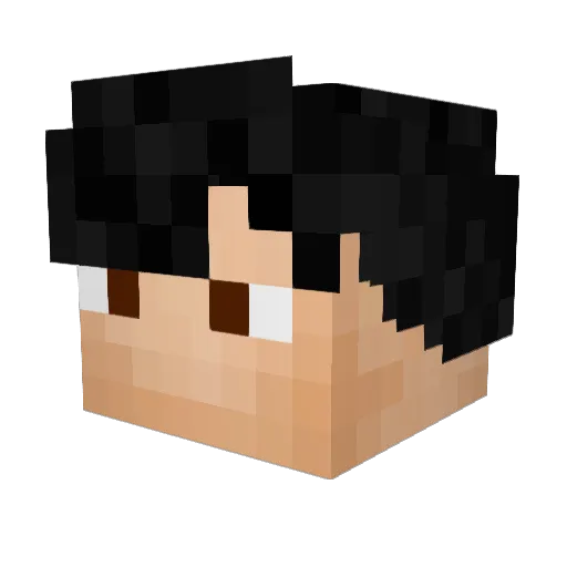 yujw Minecraft avatar head, 3D render