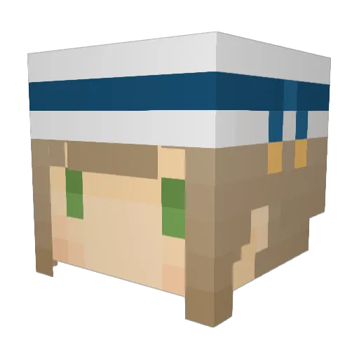 yuki529 Minecraft avatar head, 3D render