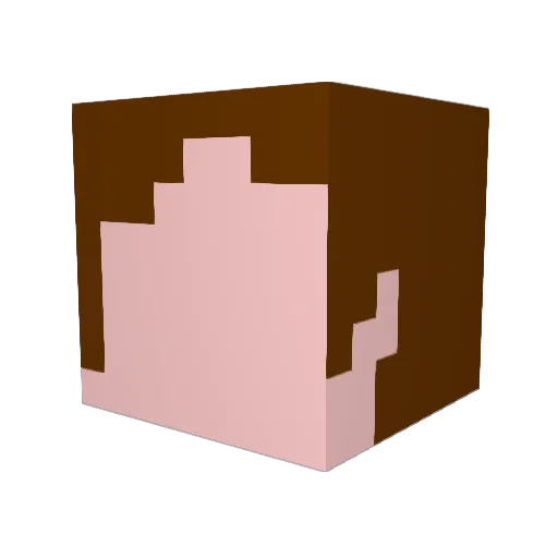 yuki81 Minecraft avatar head, 3D render