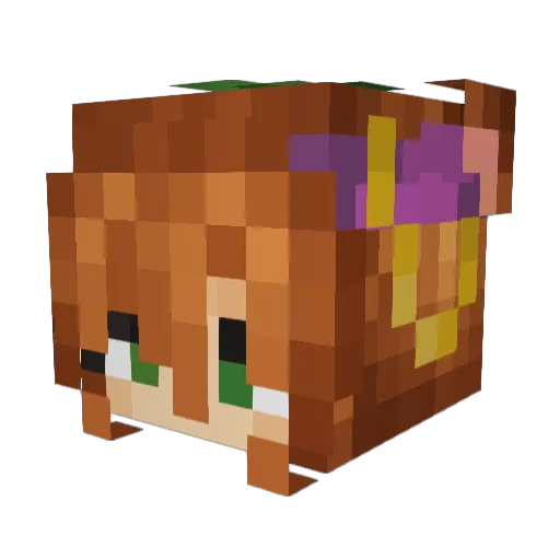 yukiime Minecraft avatar head, 3D render