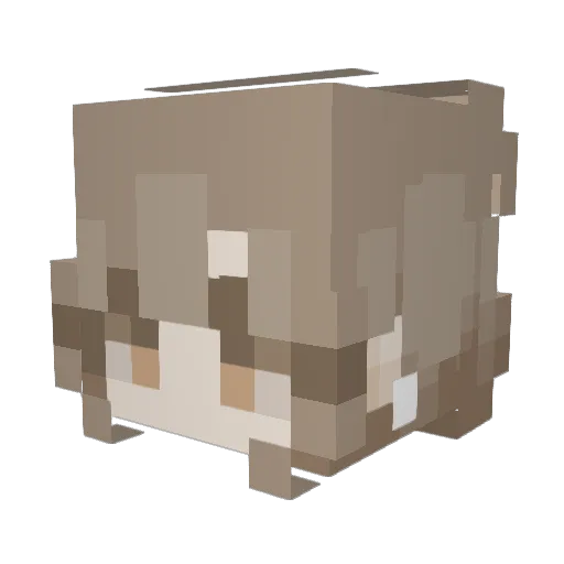 yukinayuu Minecraft avatar head, 3D render