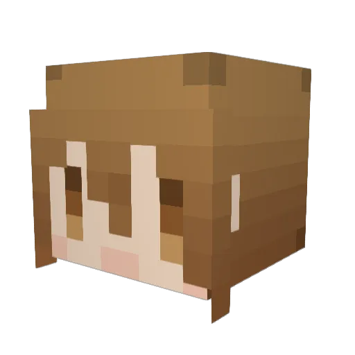yukiusagi98 Minecraft avatar head, 3D render
