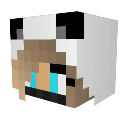 yukon333 Minecraft avatar head, 3D render