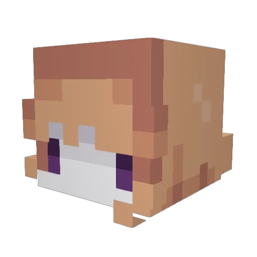 yukorevital Minecraft avatar head, 3D render