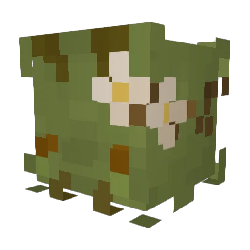 yuliabrb Minecraft avatar head, 3D render