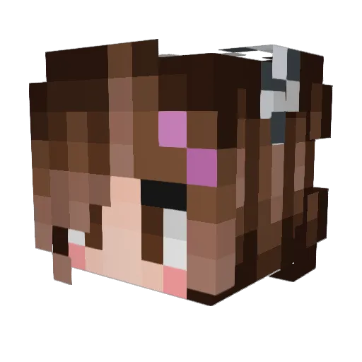 yumpotatoes Minecraft avatar head, 3D render