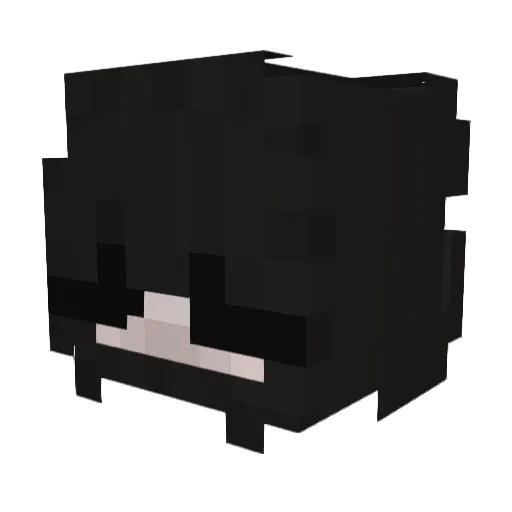 yun_le_ Minecraft avatar head, 3D render