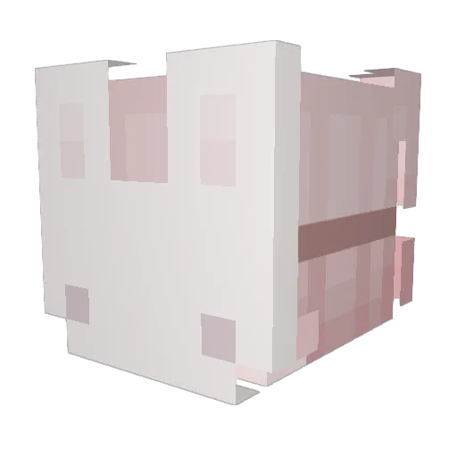 yunboyoung Minecraft avatar head, 3D render