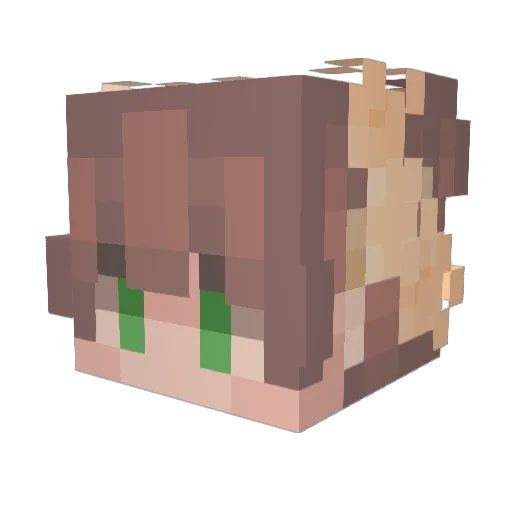 yunchin24 Minecraft avatar head, 3D render