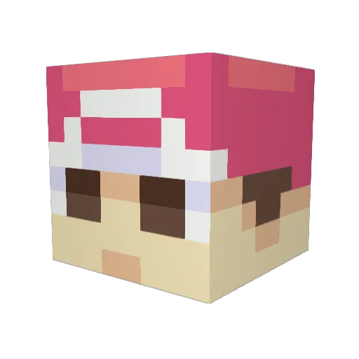 yungFleck Minecraft avatar head, 3D render