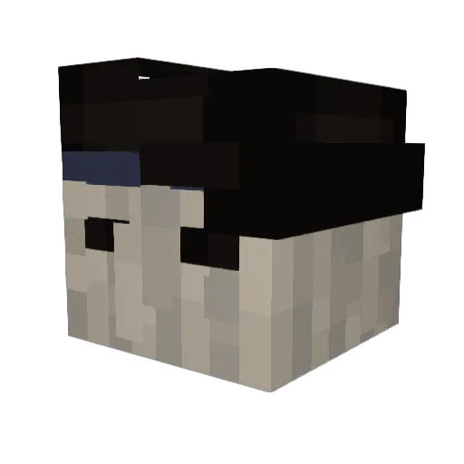 yungmaya Minecraft avatar head, 3D render