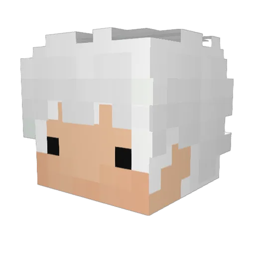 yungwoods Minecraft avatar head, 3D render