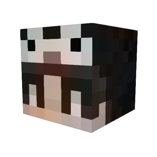 yunk66 Minecraft avatar head, 3D render