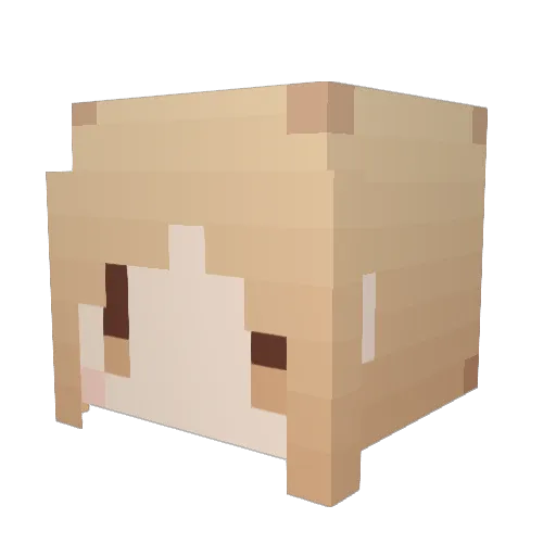 yunnka Minecraft avatar head, 3D render