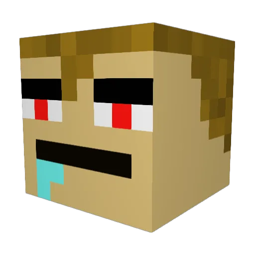 yupTOMfoolery Minecraft avatar head, 3D render