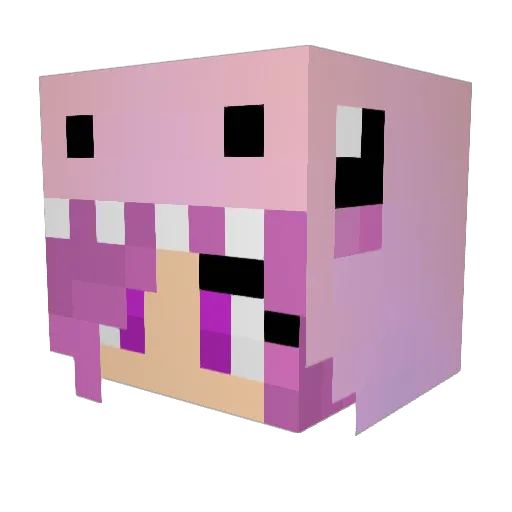 yupitsjack Minecraft avatar head, 3D render