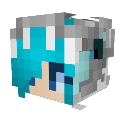 yusters Minecraft avatar head, 3D render