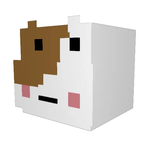 yuuhhaa Minecraft avatar head, 3D render