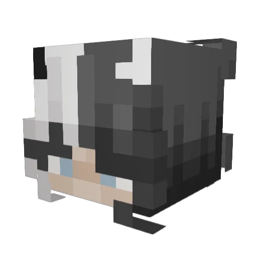 yuukiiEz Minecraft avatar head, 3D render