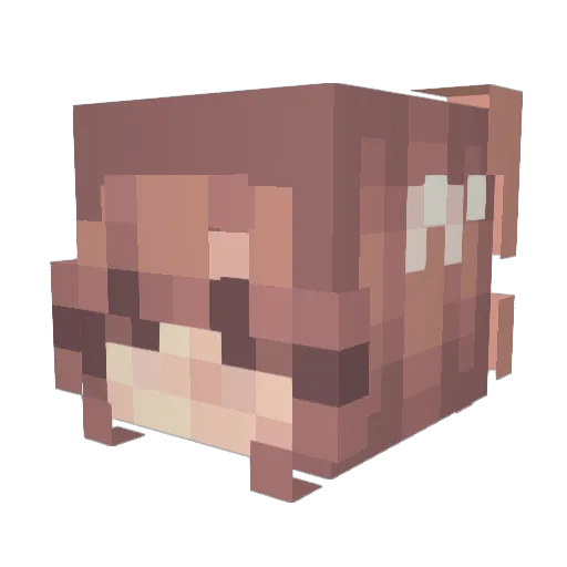 yuyowo Minecraft avatar head, 3D render