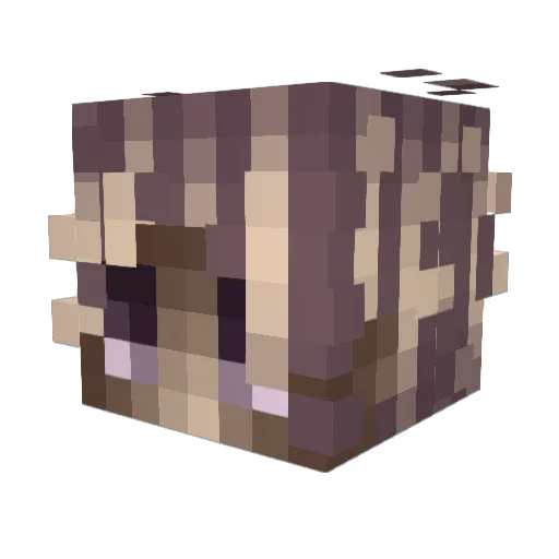 yuzsz Minecraft avatar head, 3D render