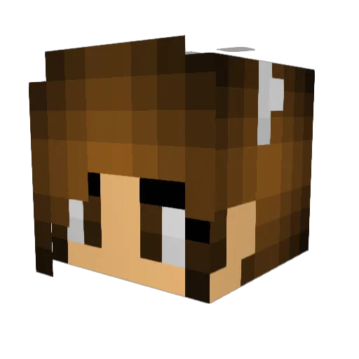 yvesmee Minecraft avatar head, 3D render