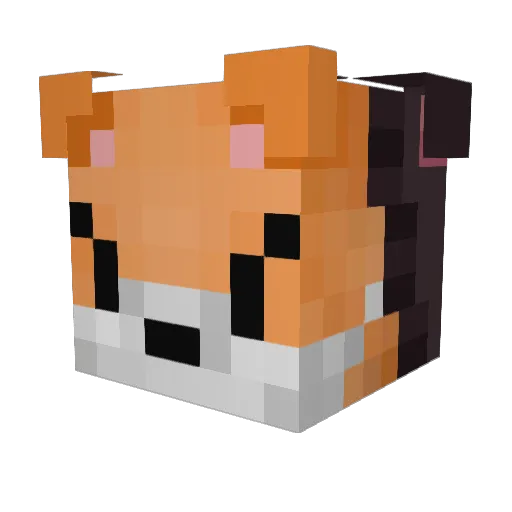 yvng7 Minecraft avatar head, 3D render
