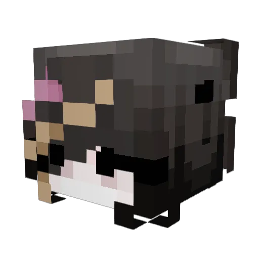 yvngFISHY Minecraft avatar head, 3D render