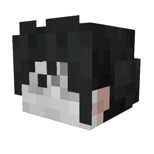 yvnyvn88 Minecraft avatar head, 3D render